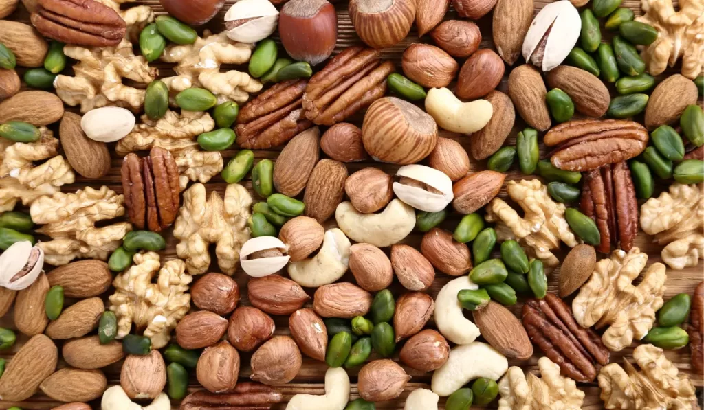 10 Amazing Fat Burning Foods You Should know Nuts