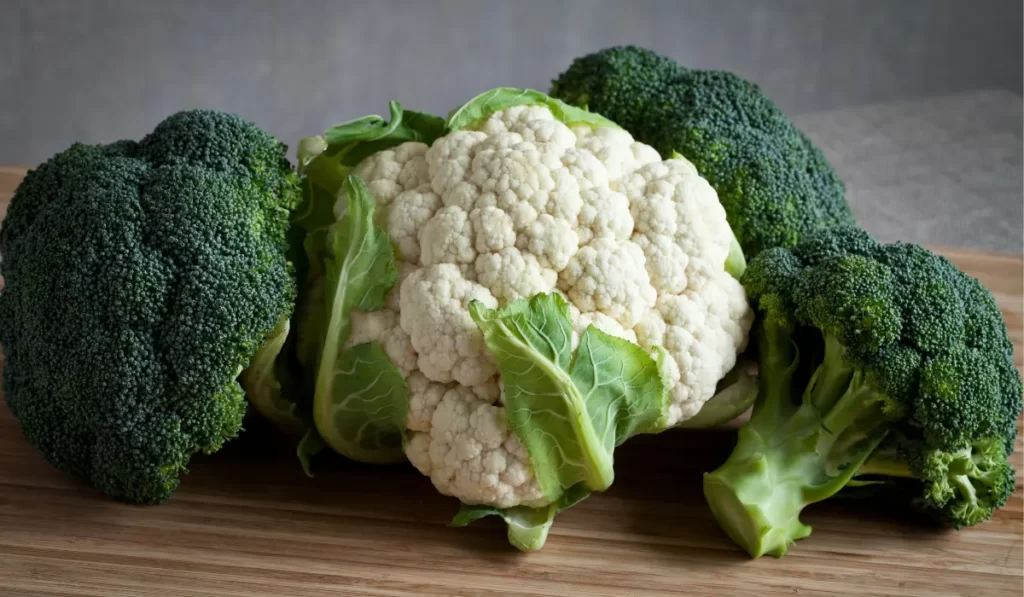 10 Amazing Fat Burning Foods You Should know Cruciferous Vegetables