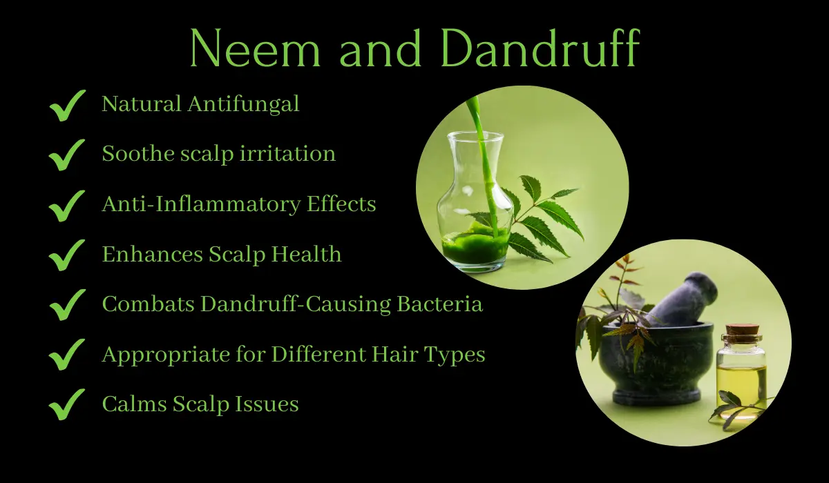 Neem and Dandruff Neem and Dandruff