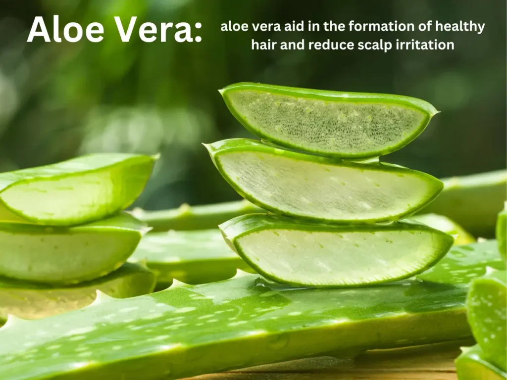 How to Care Hair in Summer Aloe Vera: Nature's Best Natural Remedies for Summer Hair Care