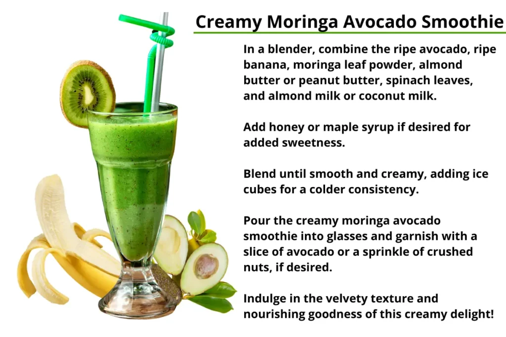 Health Benefits of Consuming Moringa Leaf Power How to Consume Moringa Leaf Powder- Creamy Moringa Avocado Smoothie