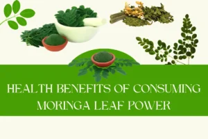 Health Benefits of Consuming Moringa Leaf Power