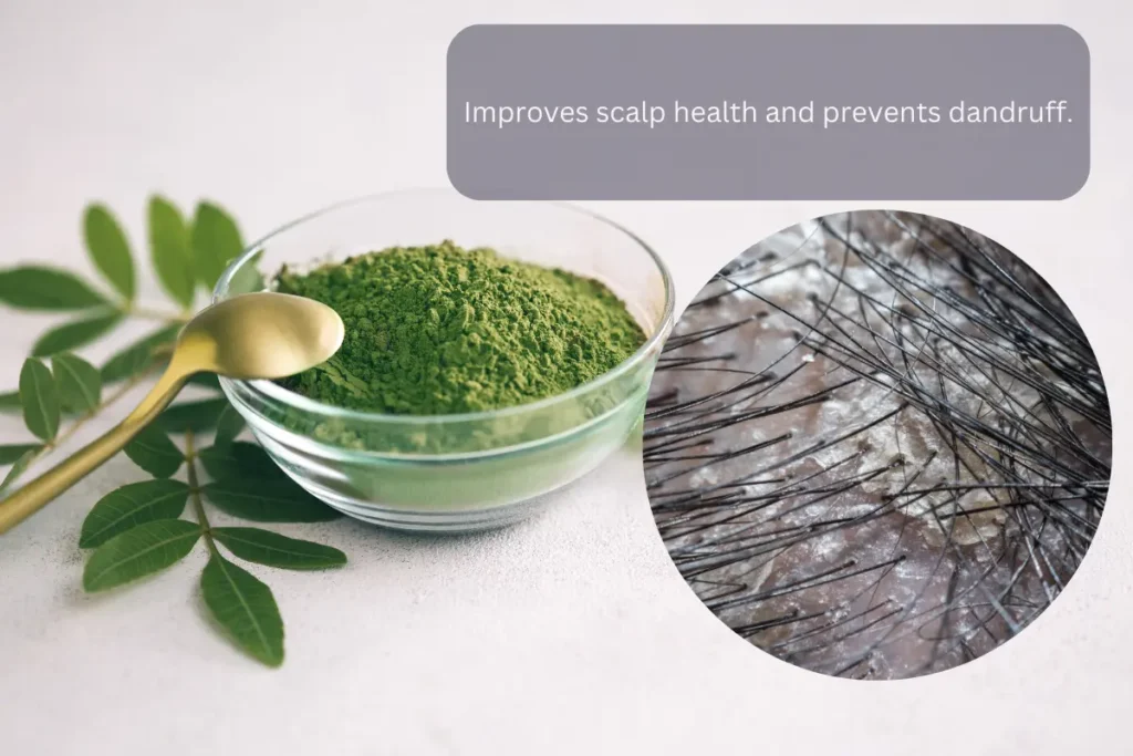 Moringa and Hair Growth Moringa Powder Benefits for Hair Growth