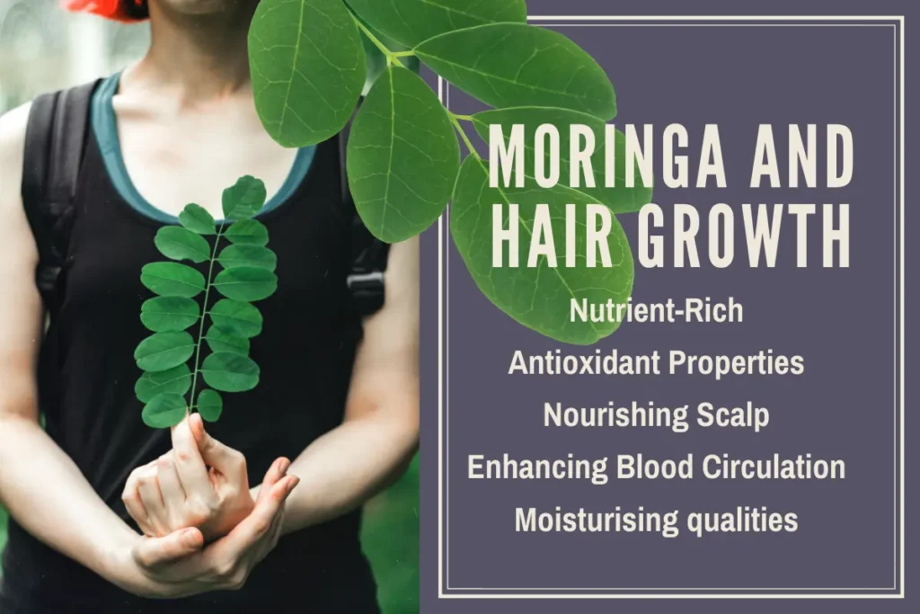 Moringa and Hair Growth Moringa and Hair Growth