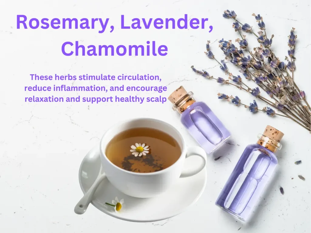 How to Care Hair in Summer Rosemary, Lavender, Chamomile - These herbs stimulate circulation, reduce inflammation, and encourage relaxation and support healthy scalp.